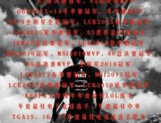 28圈- kpl历史击杀榜 