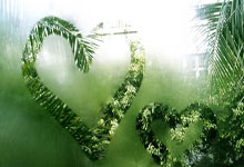 28圈娱乐- 北疆雪狼黑帮 