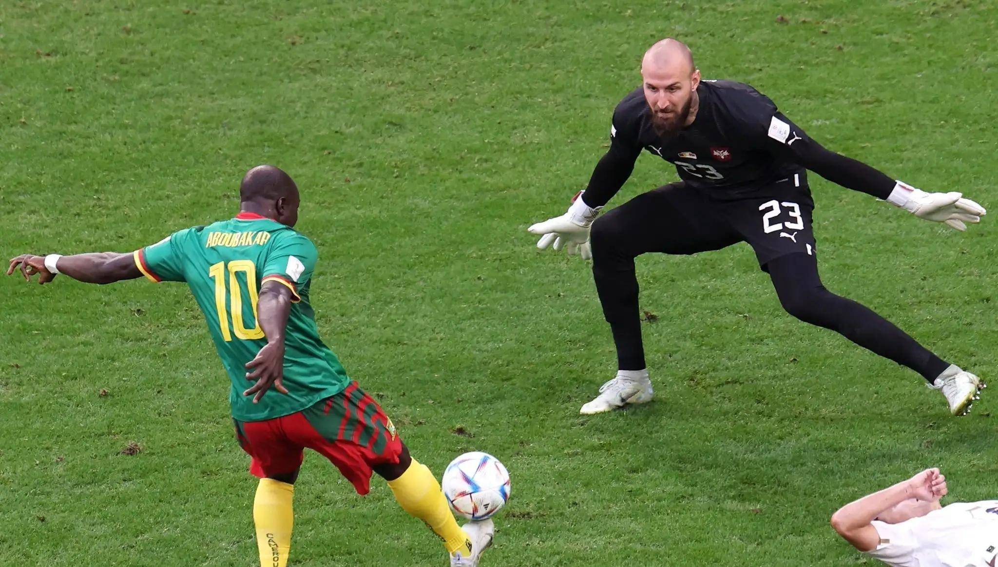 28圈-Ning关键节点关键助攻，塞尔维亚队带队取胜！的简单介绍