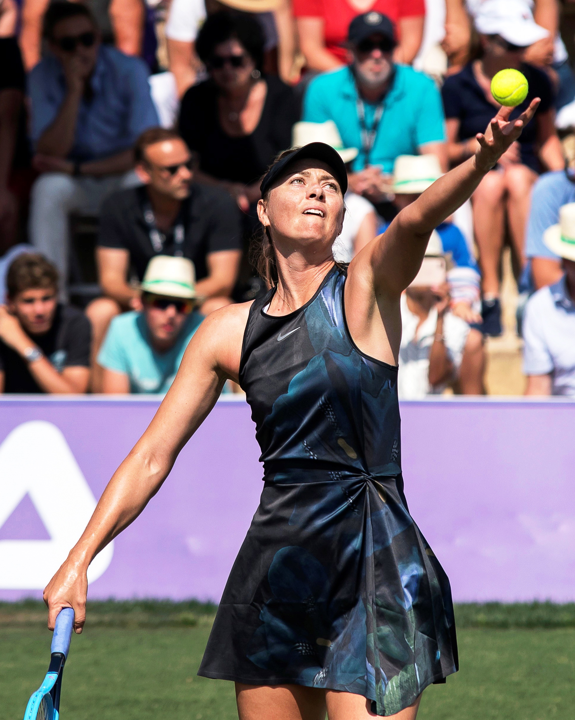 28圈娱乐-包含莎拉波娃回归赛场，战术调整首场状态亮眼，TL观众沸腾！的词条